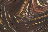 Polished Tiger Iron Stromatolite Slab - Billion Years #222029-1